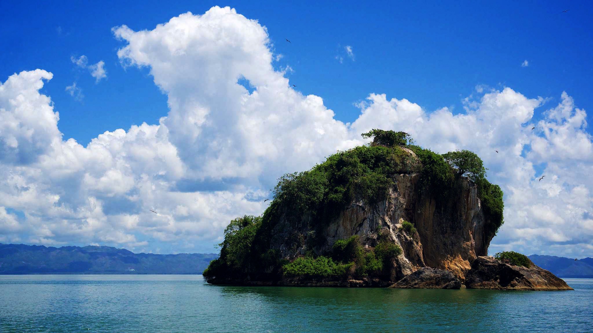 Parque Nacional Los Haitises de Samaná_11