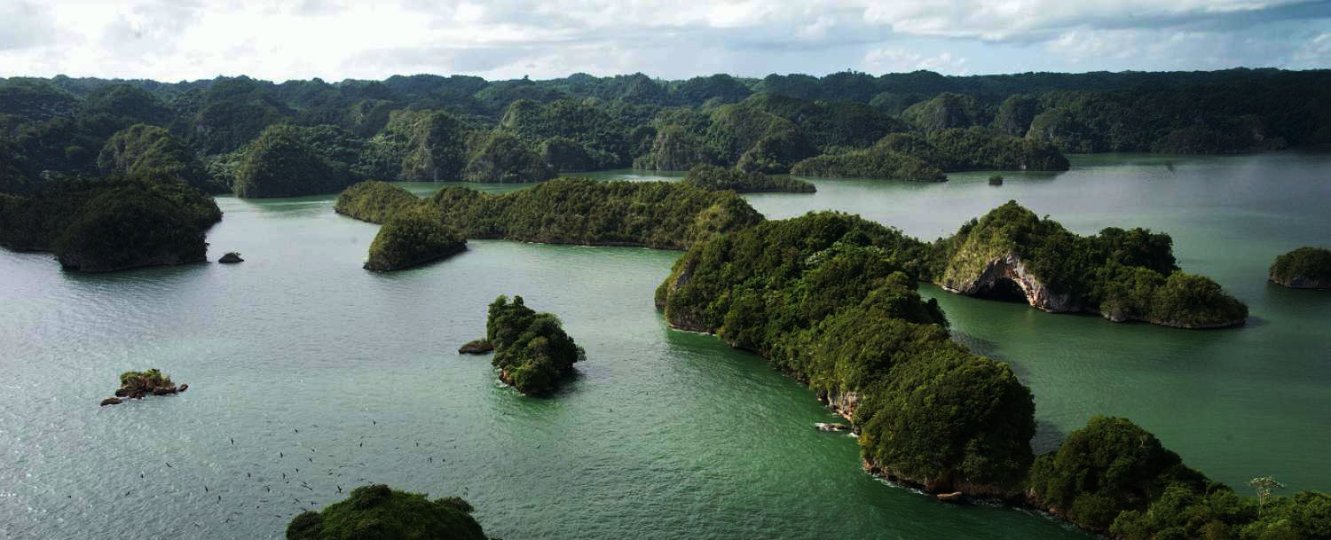 Parque Nacional Los Haitises de Samaná_12