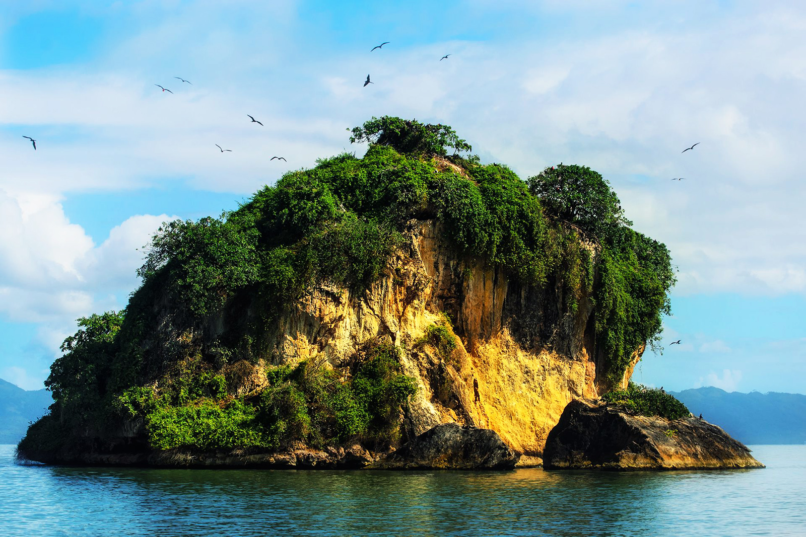 Parque Nacional Los Haitises de Samaná_15