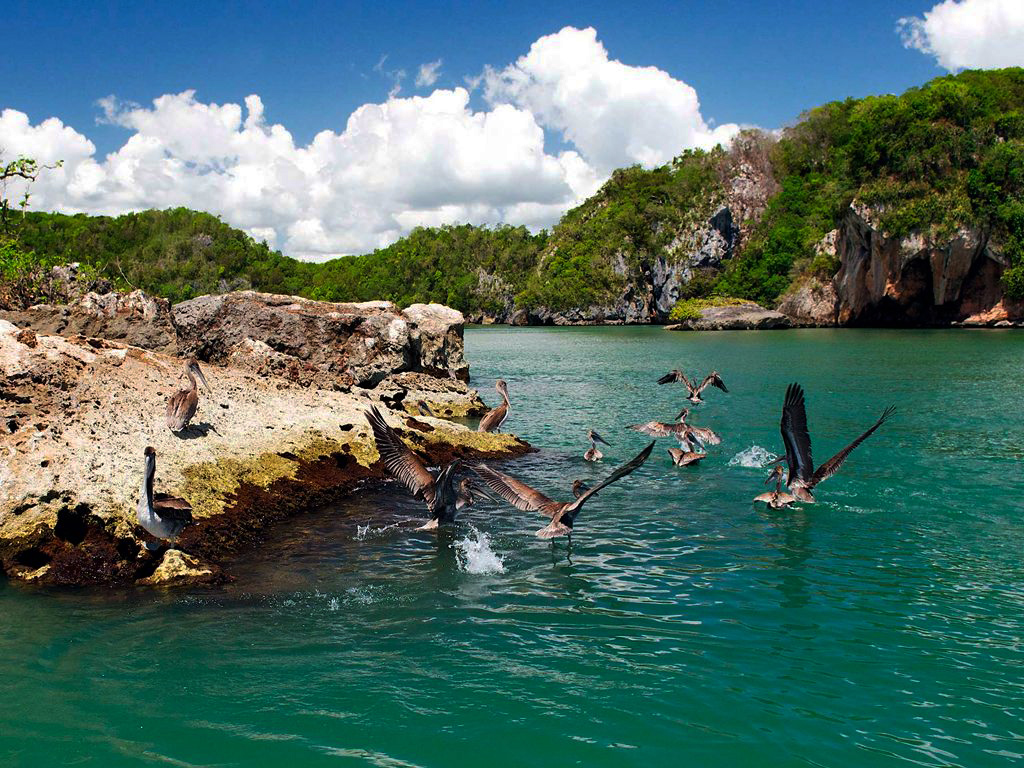 Parque Nacional Los Haitises de Samaná_7