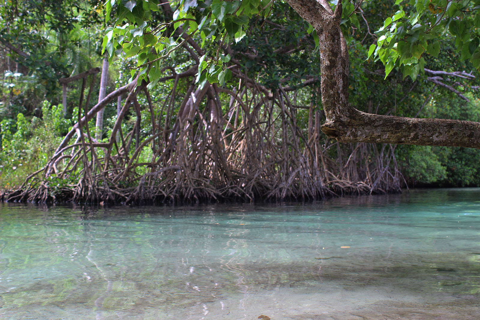 Playa Rincón de las Galeras_10