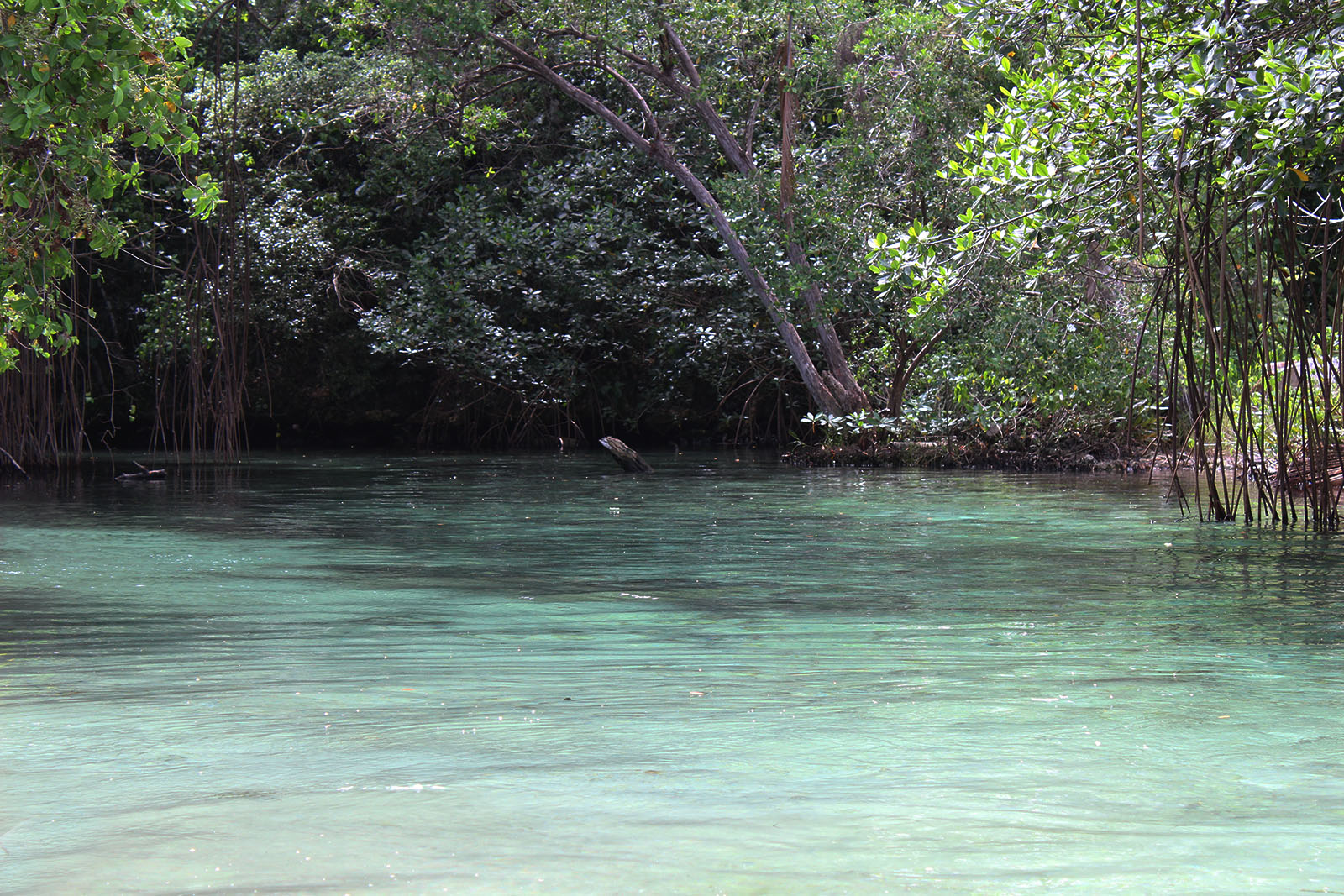 Playa Rincón de las Galeras_11