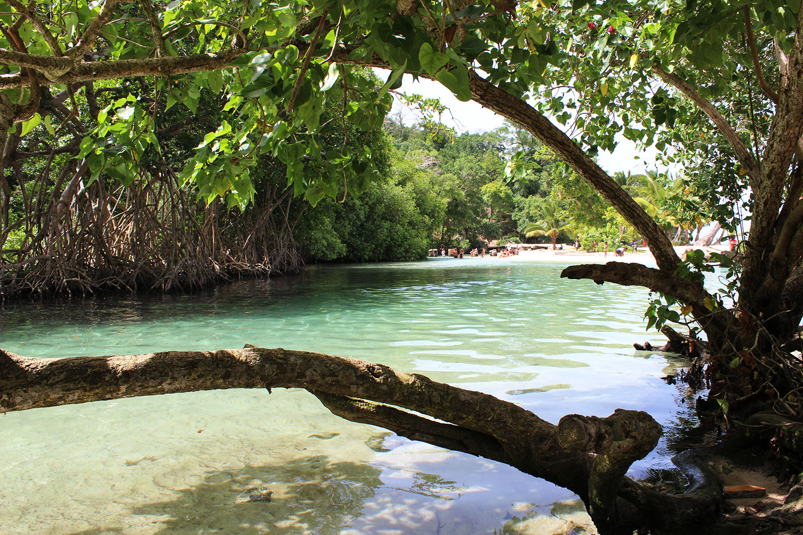 Playa Rincón de las Galeras_14