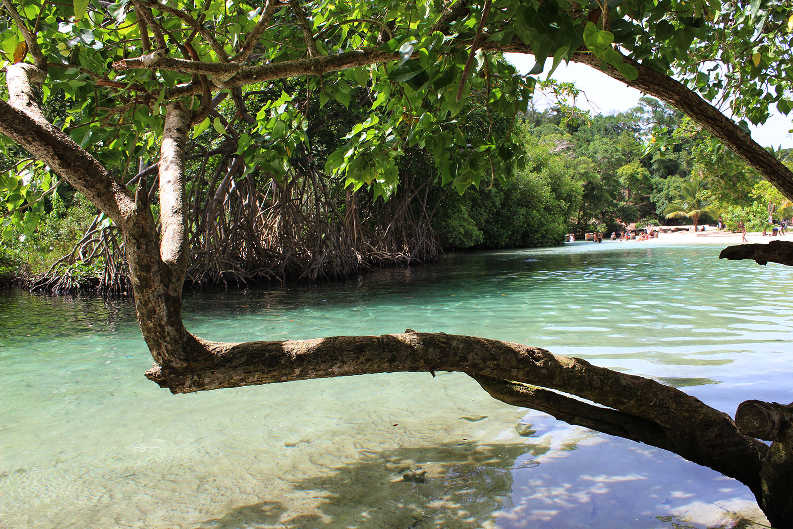 Playa Rincón de las Galeras_15