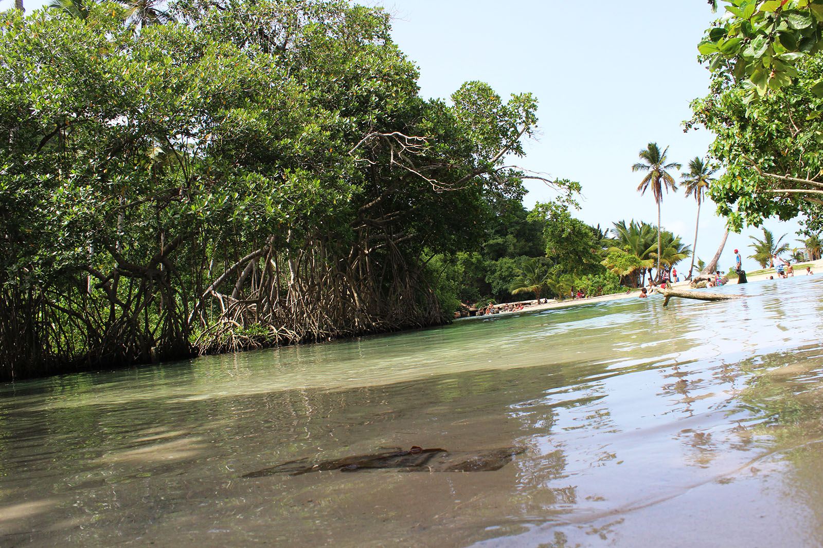 Playa Rincón de las Galeras_16