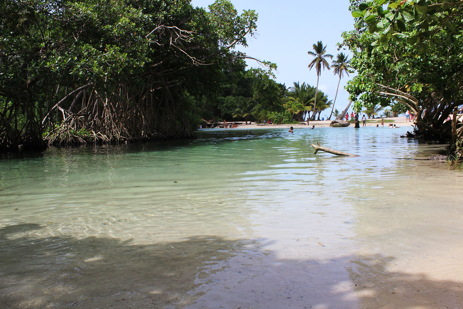 Playa Rincón de las Galeras_17