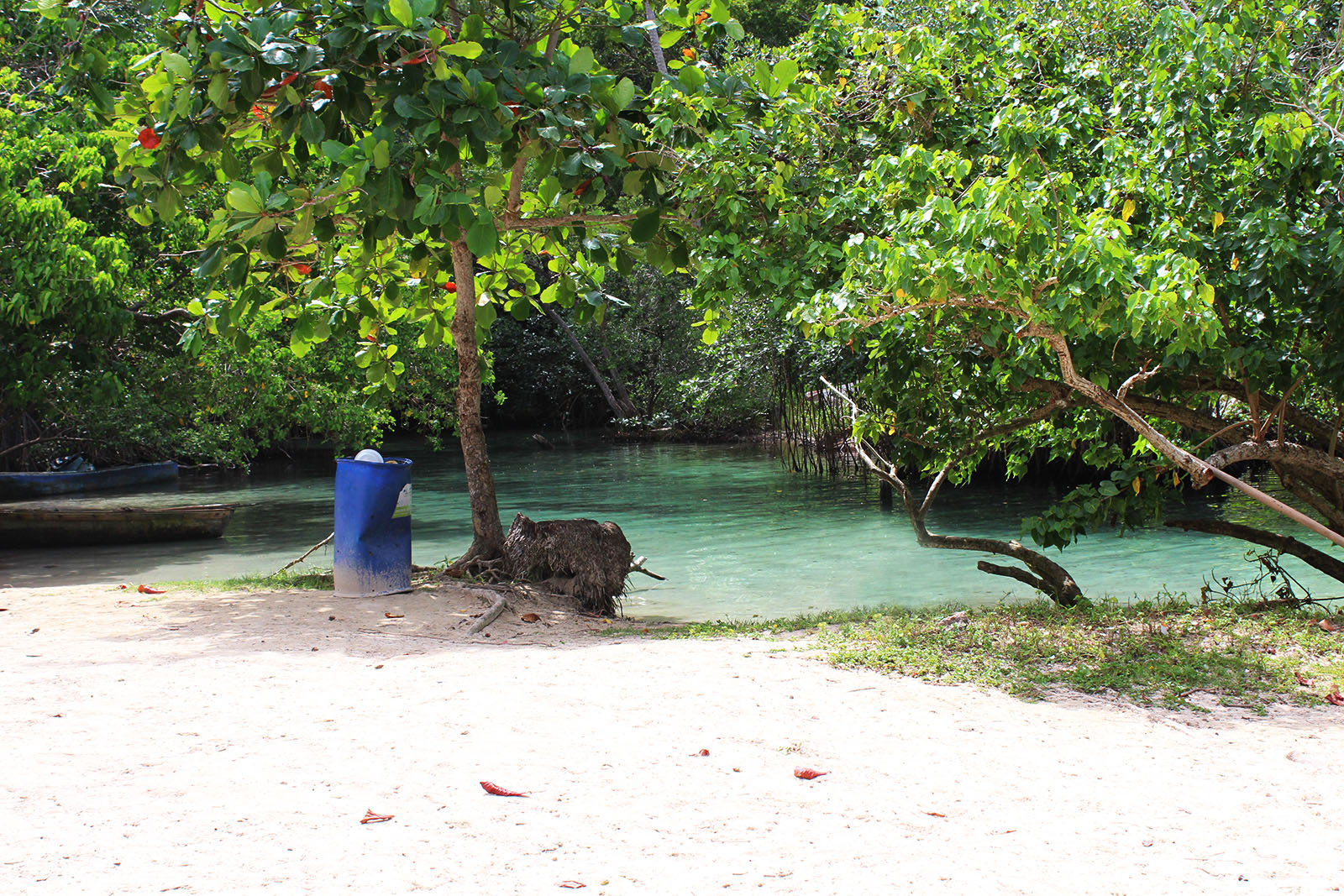 Playa Rincón de las Galeras_1