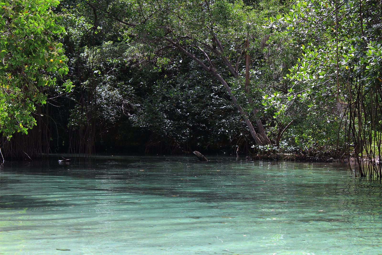 Playa Rincón de las Galeras_2