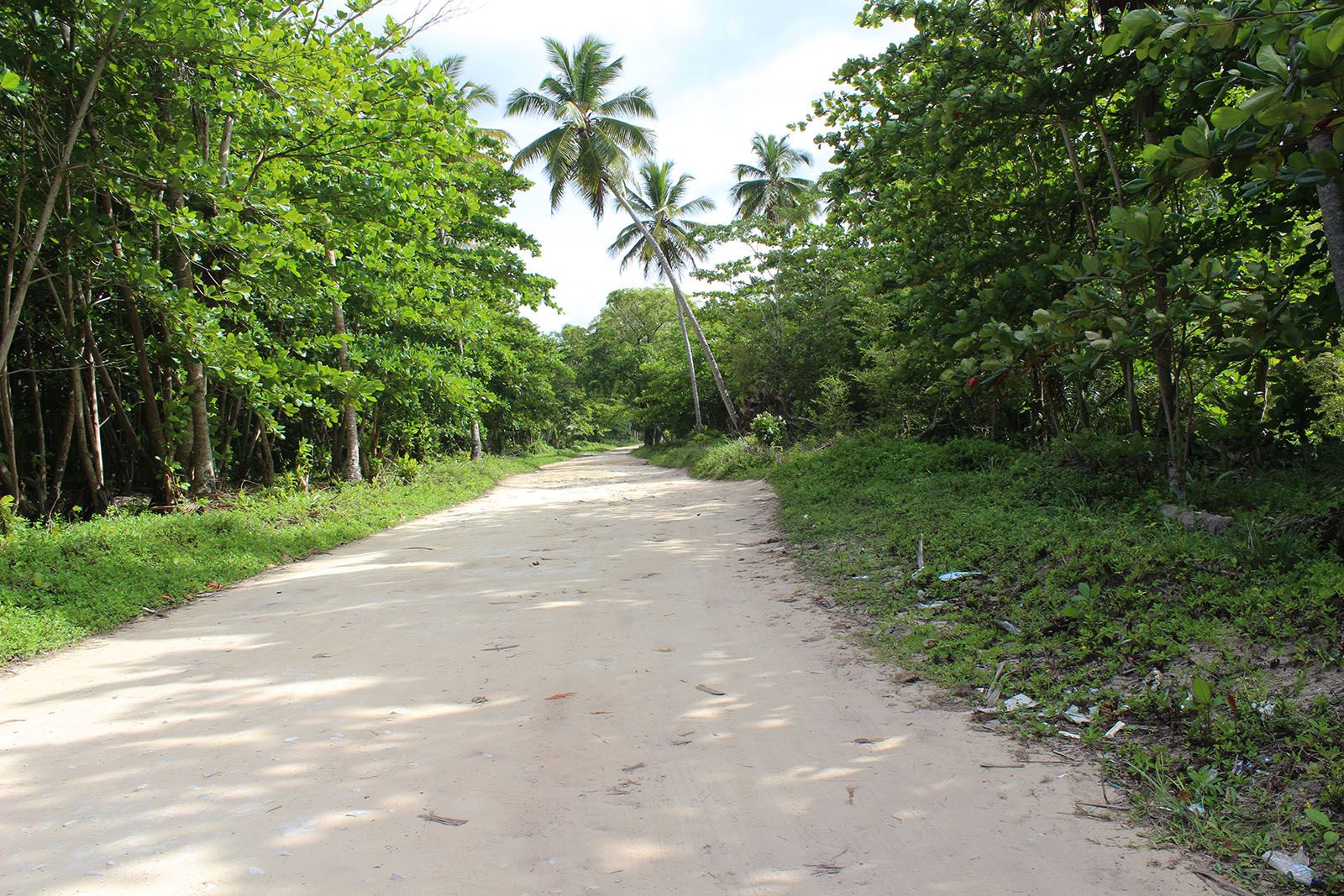 Playa Rincón de las Galeras_39