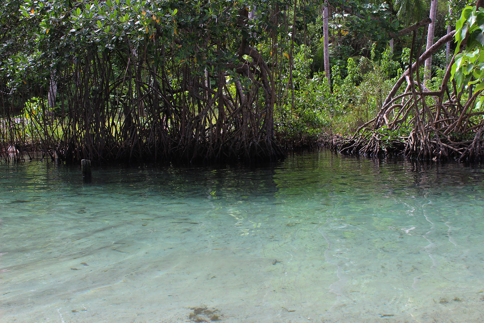 Playa Rincón de las Galeras_9