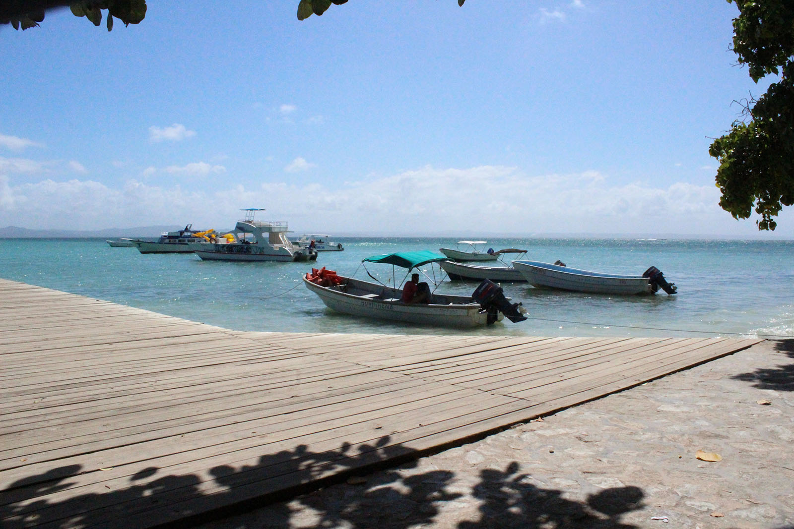 Cayo levantado de Samaná_18