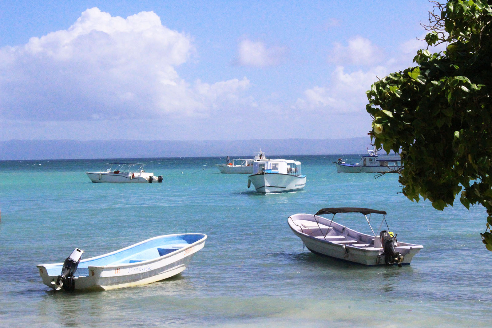 Cayo levantado de Samaná_21