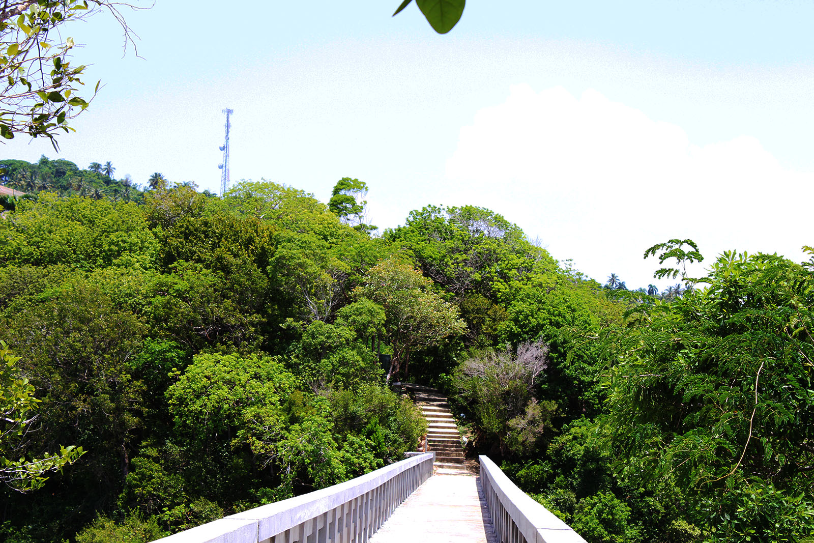 El Puente de Santa Bárbara de Samaná_2