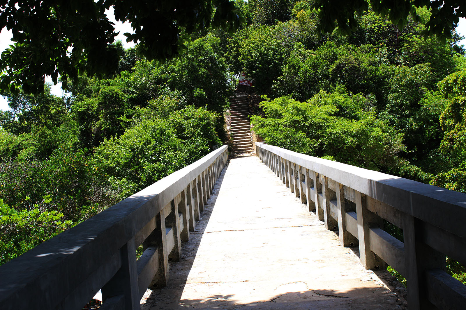 El Puente de Santa Bárbara de Samaná_4