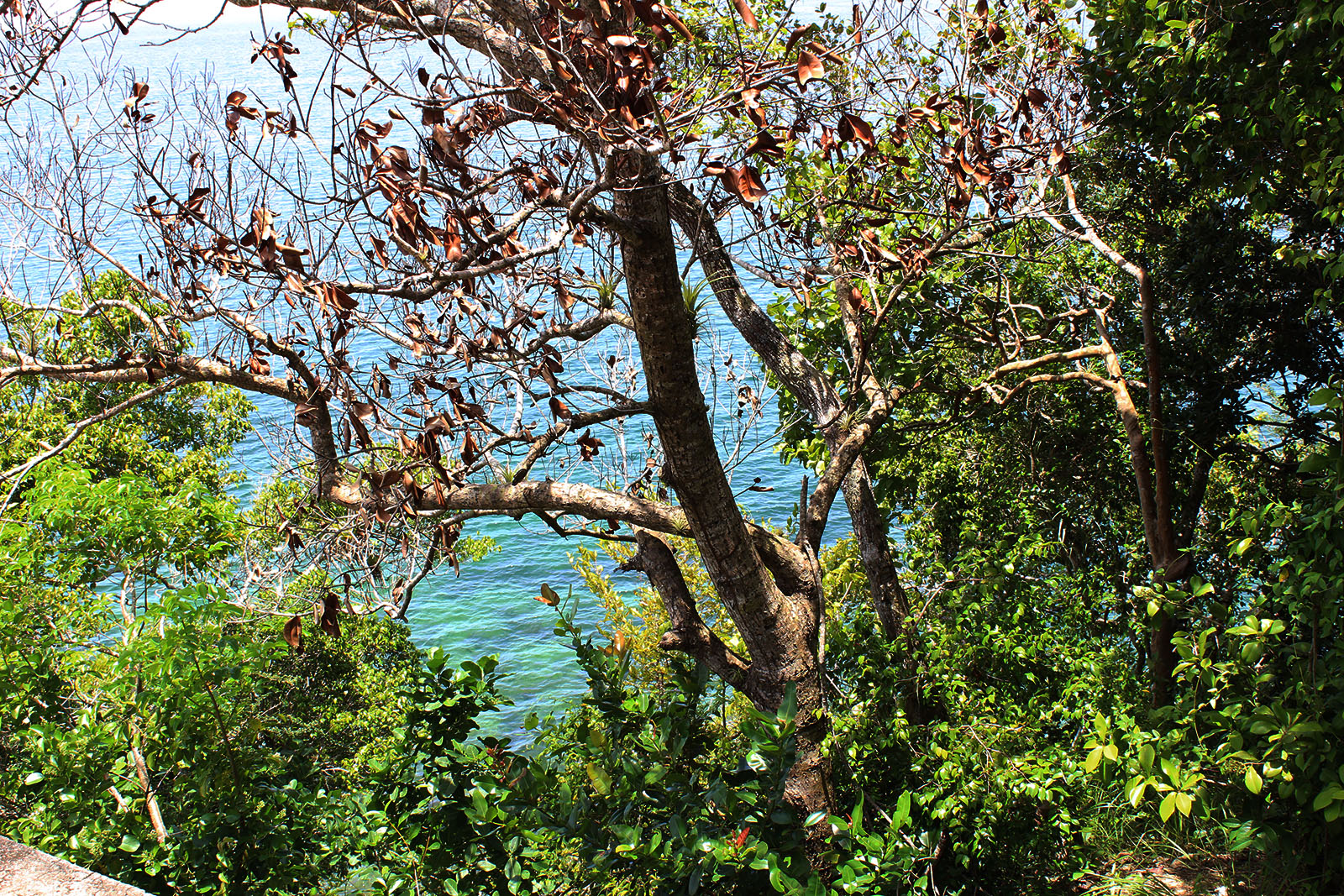 El Puente de Santa Bárbara de Samaná_5