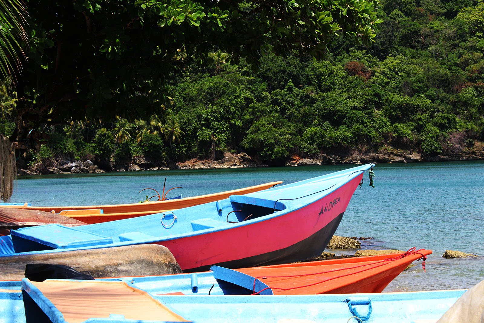 Los Cacaos de Santa Bárbara de Samaná_1