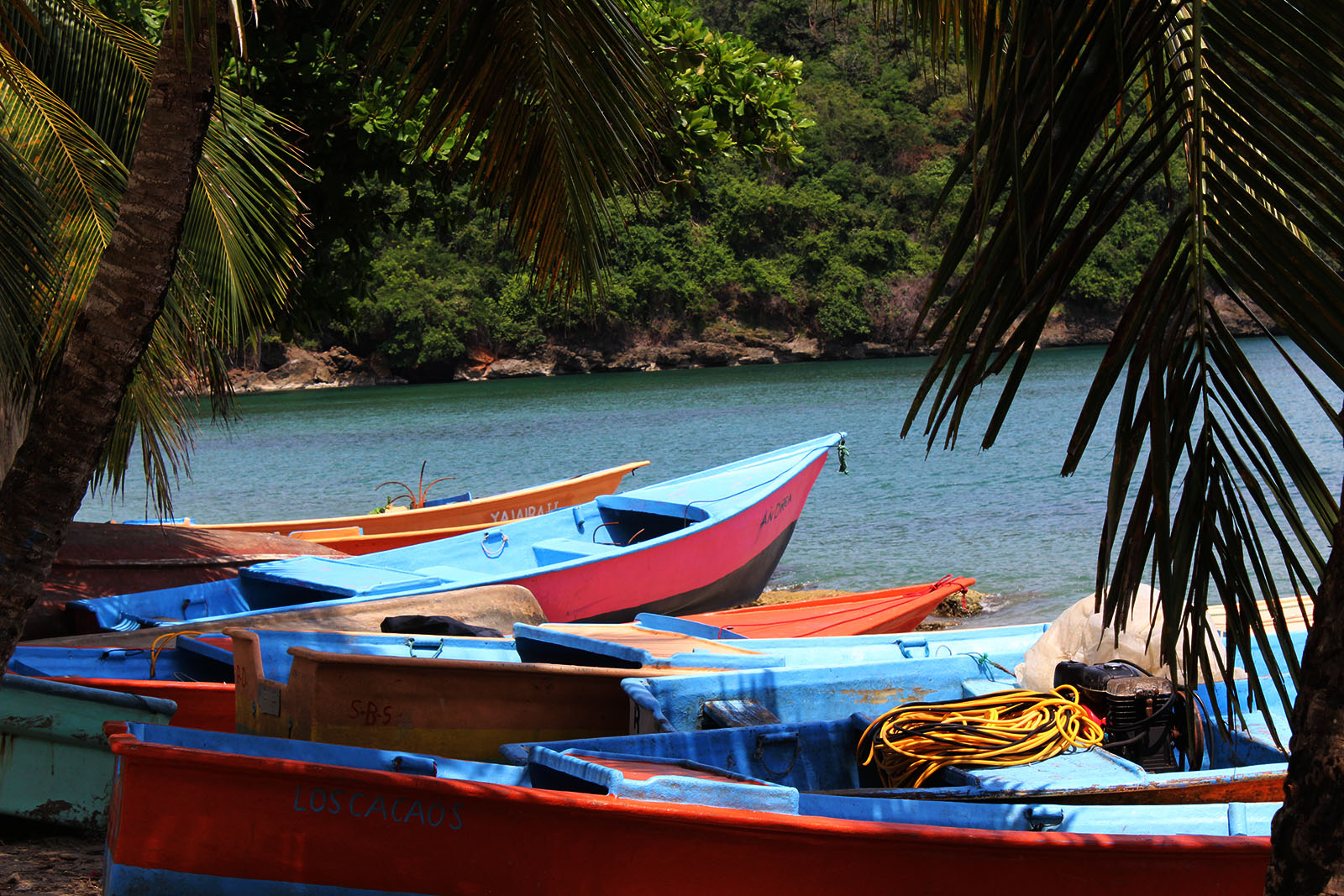 Los Cacaos de Santa Bárbara de Samaná_2