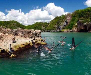 Parque Nacional Los Haitises de Samaná_7