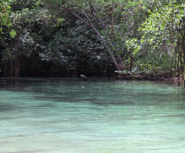 Playa Rincón de las Galeras_11