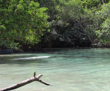 Playa Rincón de las Galeras_12