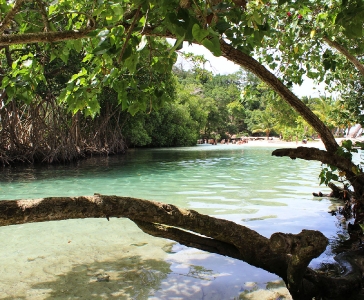 Playa Rincón de las Galeras_14