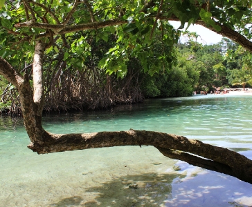 Playa Rincón de las Galeras_15