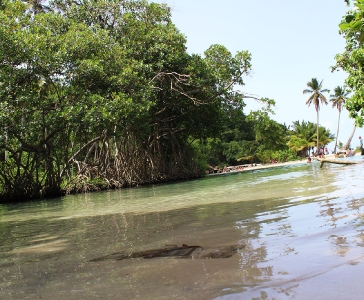 Playa Rincón de las Galeras_16