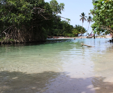 Playa Rincón de las Galeras_17