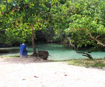 Playa Rincón de las Galeras_1