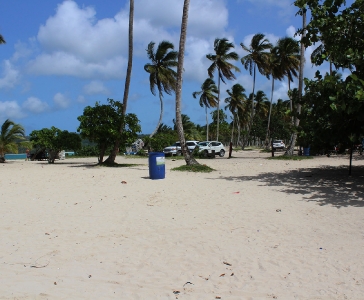 Playa Rincón de las Galeras_21