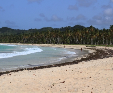 Playa Rincón de las Galeras_23