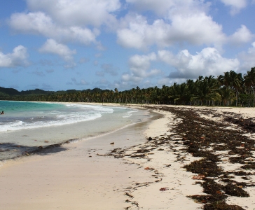 Playa Rincón de las Galeras_24