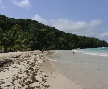 Playa Rincón de las Galeras_25