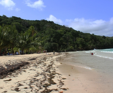 Playa Rincón de las Galeras_26