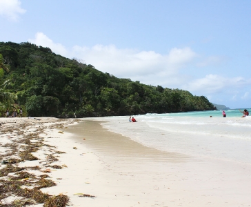 Playa Rincón de las Galeras_27