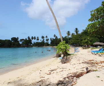 Playa Rincón de las Galeras_28