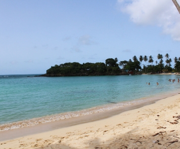  Galería: Playa Rincón de las Galeras