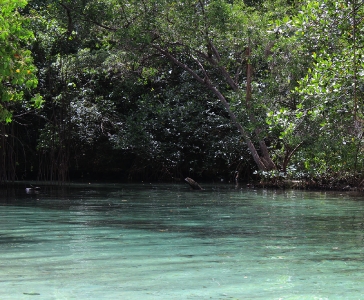 Playa Rincón de las Galeras_2