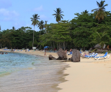 Playa Rincón de las Galeras_30