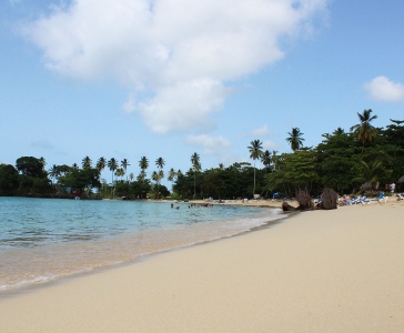  Galería: Playa Rincón de las Galeras