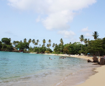 Playa Rincón de las Galeras_33