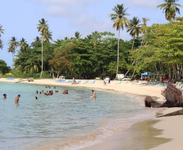 Playa Rincón de las Galeras_34