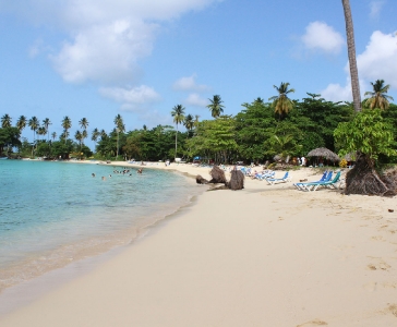 Playa Rincón de las Galeras_35