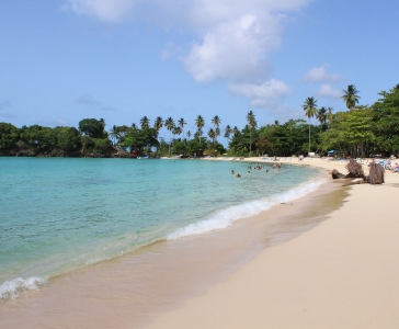 Playa Rincón de las Galeras_36