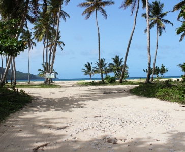 Playa Rincón de las Galeras_38