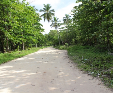 Playa Rincón de las Galeras_39