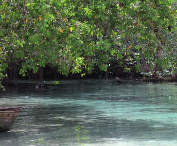 Playa Rincón de las Galeras_3