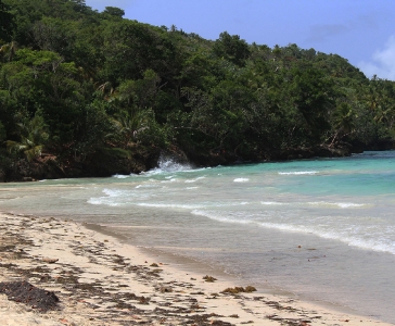 Playa Rincón de las Galeras_6