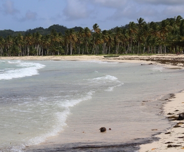 Playa Rincón de las Galeras_7