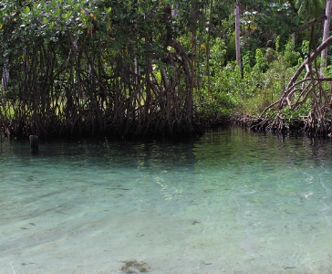 Playa Rincón de las Galeras_9